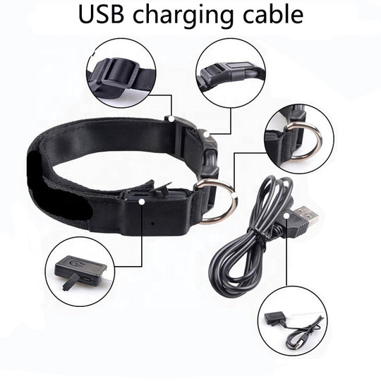 USB RECHARGEABLE LED DOG COLLAR
