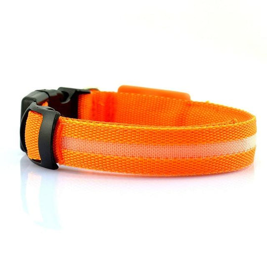 USB RECHARGEABLE LED DOG COLLAR