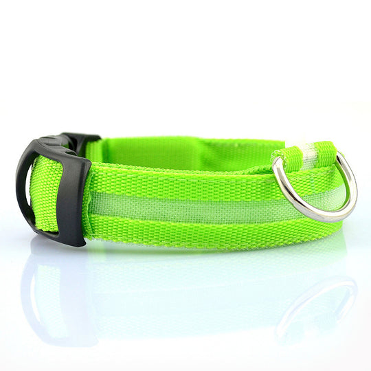 USB RECHARGEABLE LED DOG COLLAR